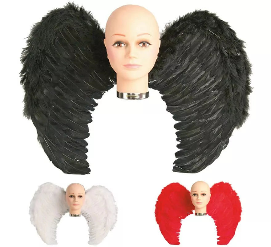 Translation missing: pt-PT.Alas con plumas en varios colores 65 x 50 cm