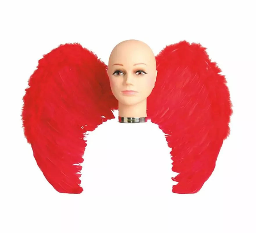 Translation missing: pt-PT.Alas con plumas en varios colores 65 x 50 cm