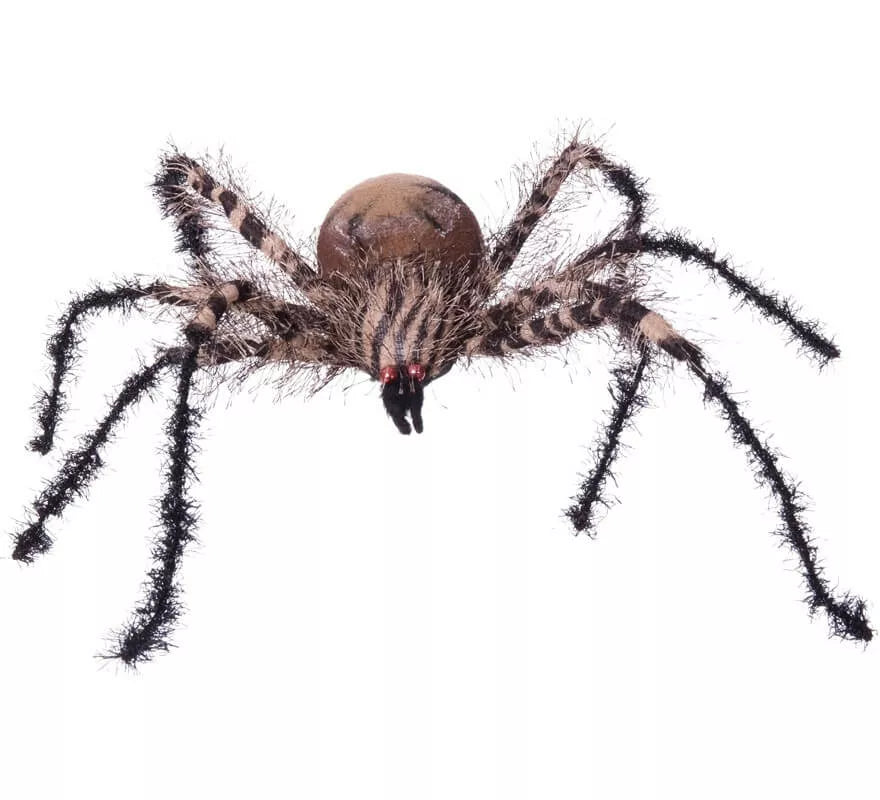 Translation missing: pt-PT.Araña Cebra Pequeña de 38x34x8 cm