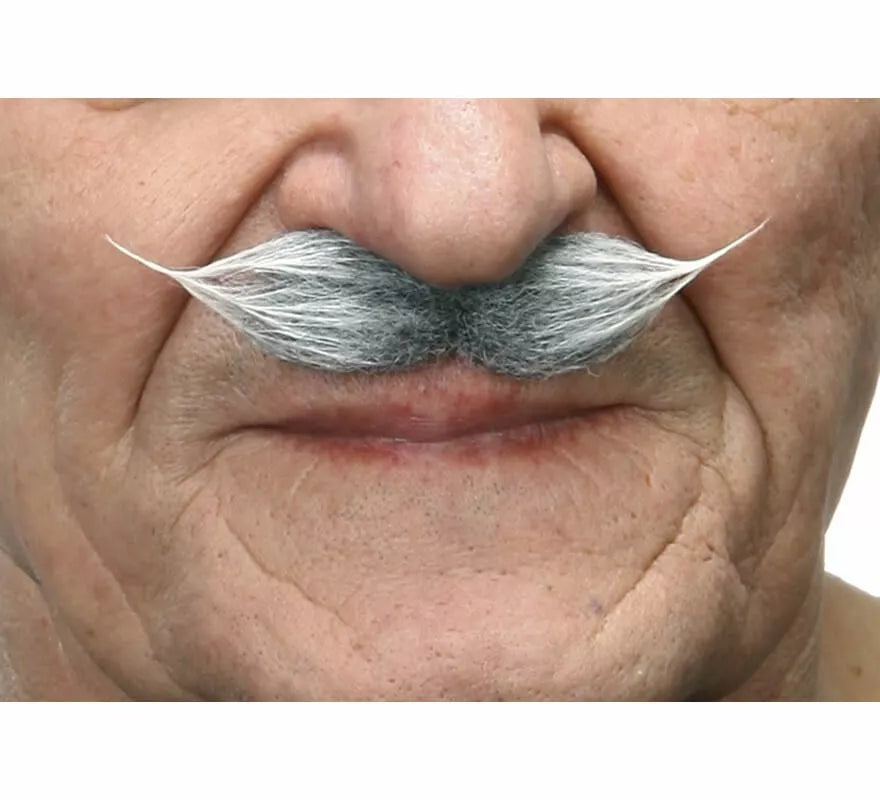 Translation missing: pt-PT.Bigote de Época canoso