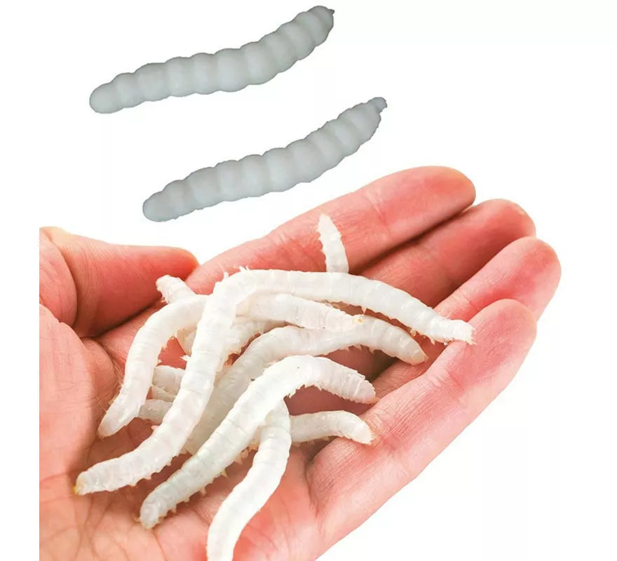 Blíster de 20 Gusanos Elásticos 4 cm