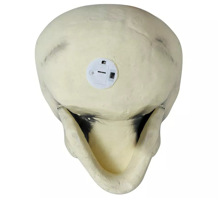 Translation missing: pt-PT.Calavera 32 cm de Foam