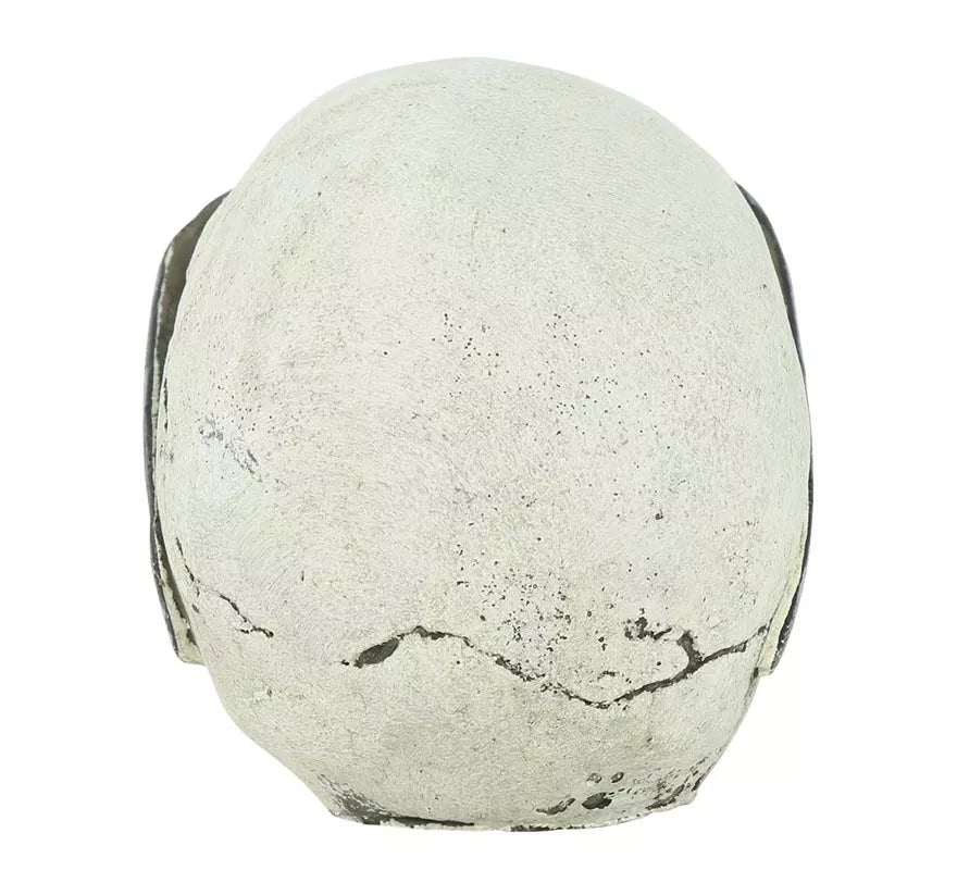 Translation missing: pt-PT.Calavera con Gafas Resina 11 cm