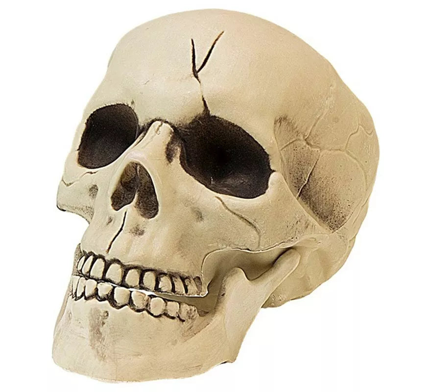 Translation missing: pt-PT.Calavera con Mandíbula y Movimiento de Plástico de 21 cm
