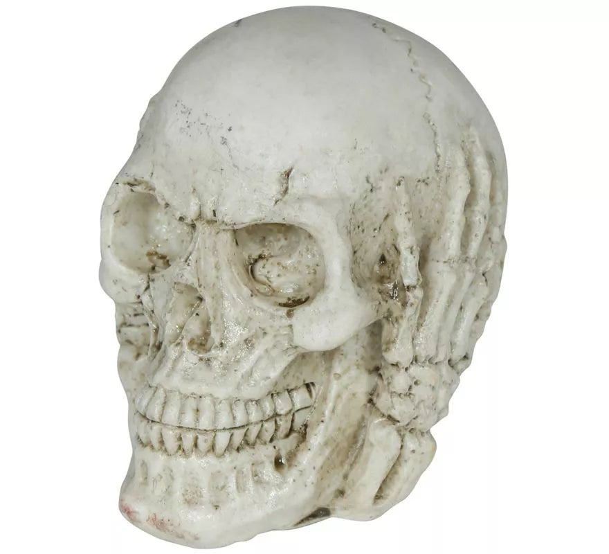 Translation missing: pt-PT.Calavera de Resina de 6 cm