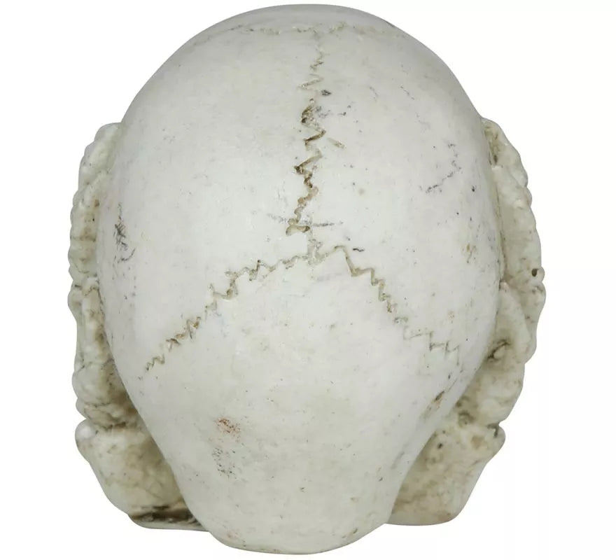 Translation missing: pt-PT.Calavera de Resina de 6 cm