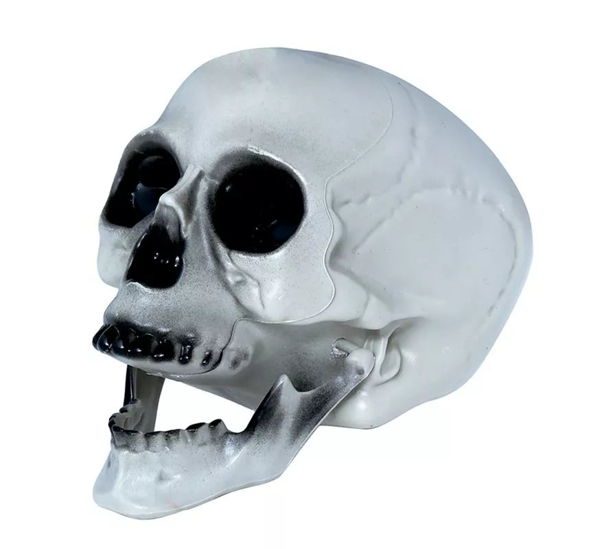 Translation missing: pt-PT.Calavera PVC 20 cms
