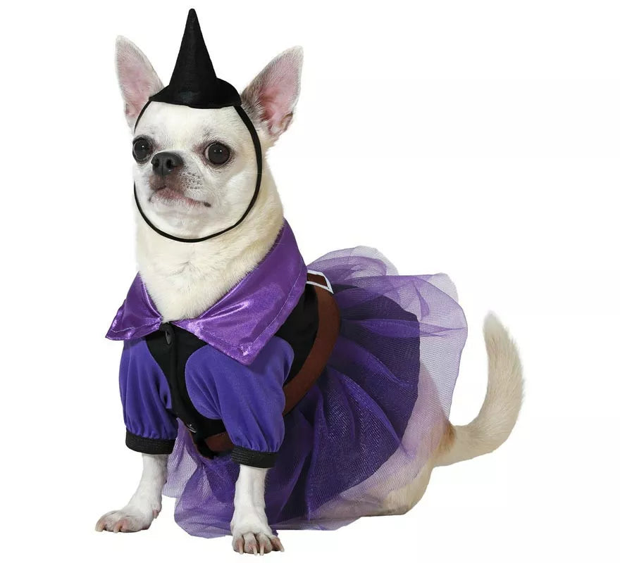 Translation missing: pt-PT.Disfraz de Bruja morada con sombrero para perro