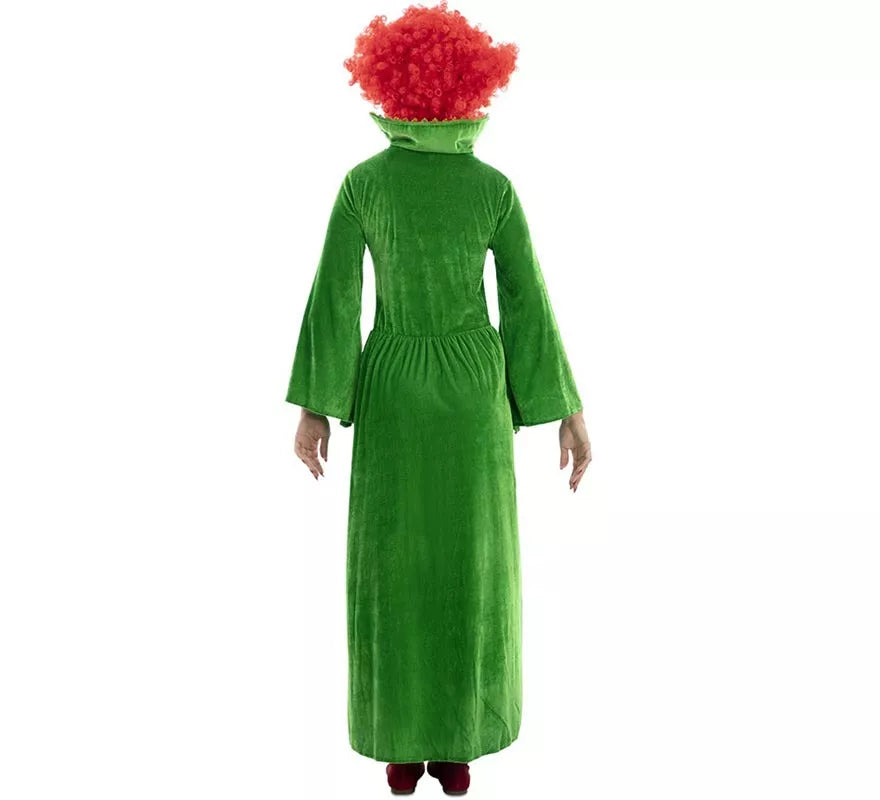 Translation missing: pt-PT.Disfraz de Bruja verde para mujer