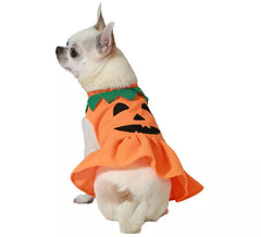 Fantasia de cachorro abóbora de Halloween