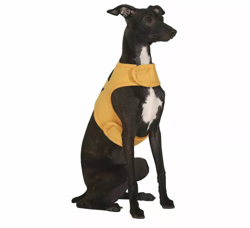 Translation missing: pt-PT.Disfraz de Calabaza Halloween para perro