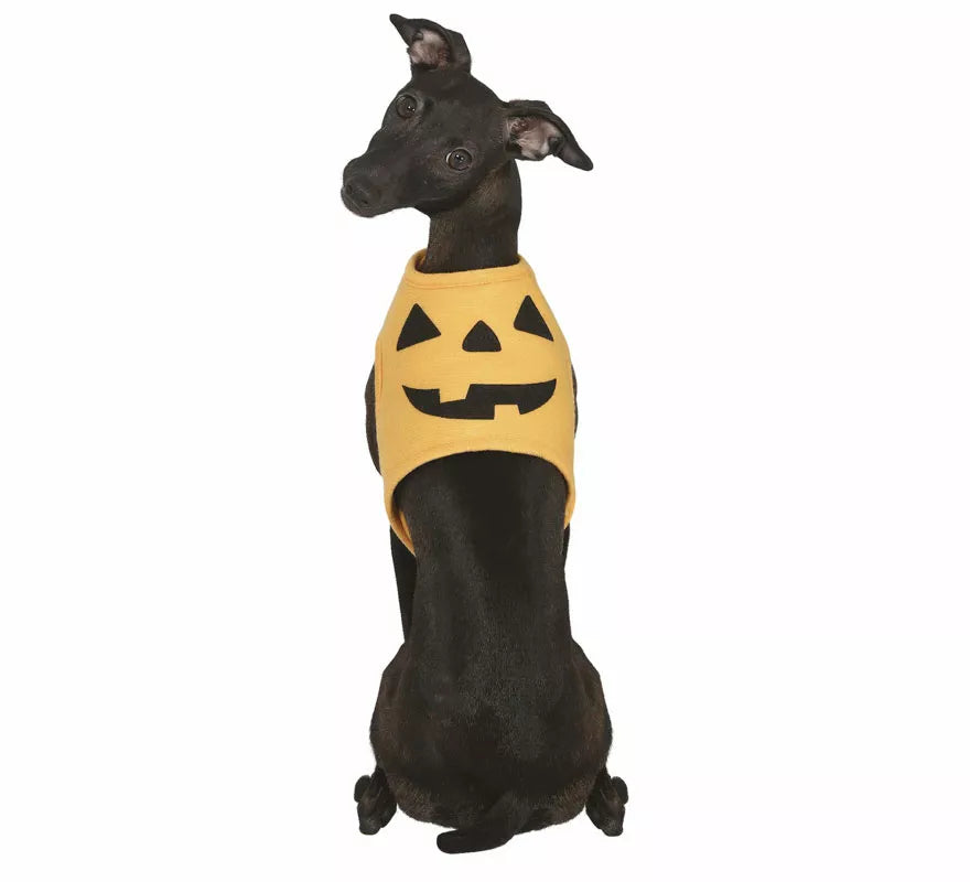 Translation missing: pt-PT.Disfraz de Calabaza Halloween para perro