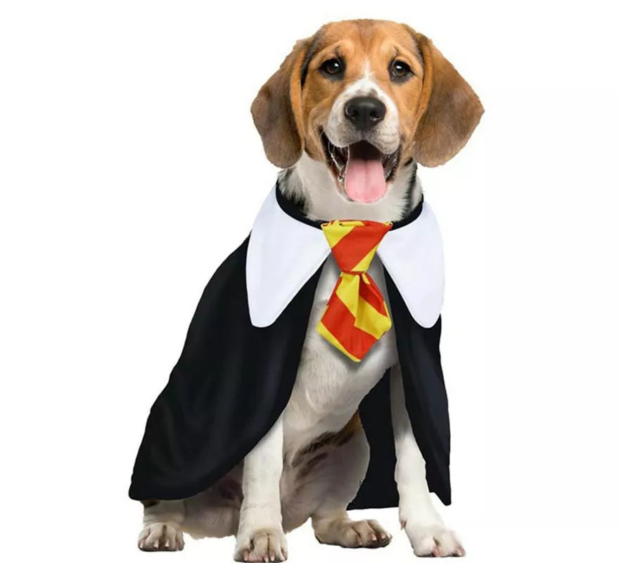 Translation missing: pt-PT.Disfraz de Estudiante de Magia para perro