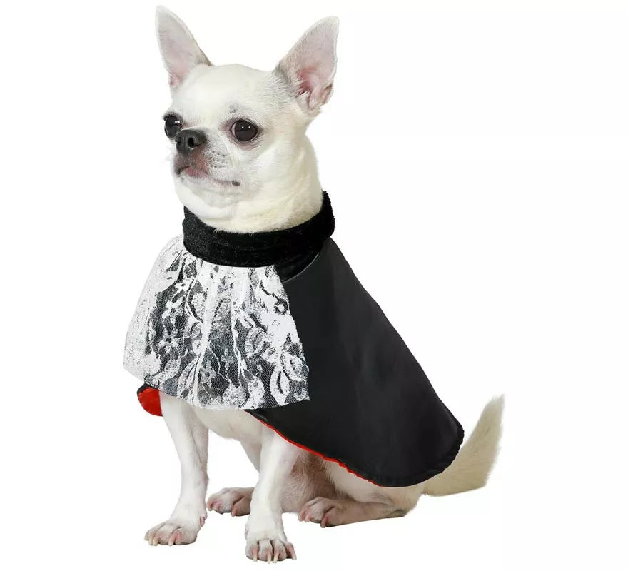 Translation missing: pt-PT.Disfraz de Vampiro Drácula para perro