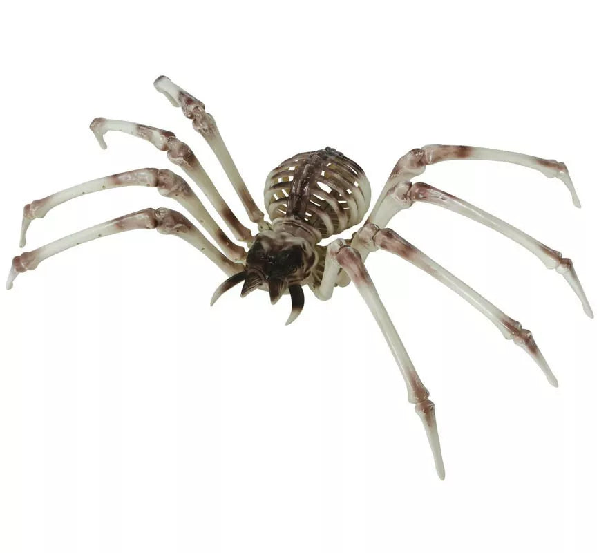 Translation missing: pt-PT.Esqueleto Araña 85x35 cm