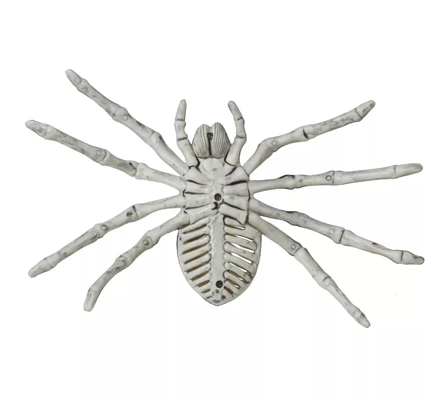 Translation missing: es.Esqueleto de Araña 24 Cm