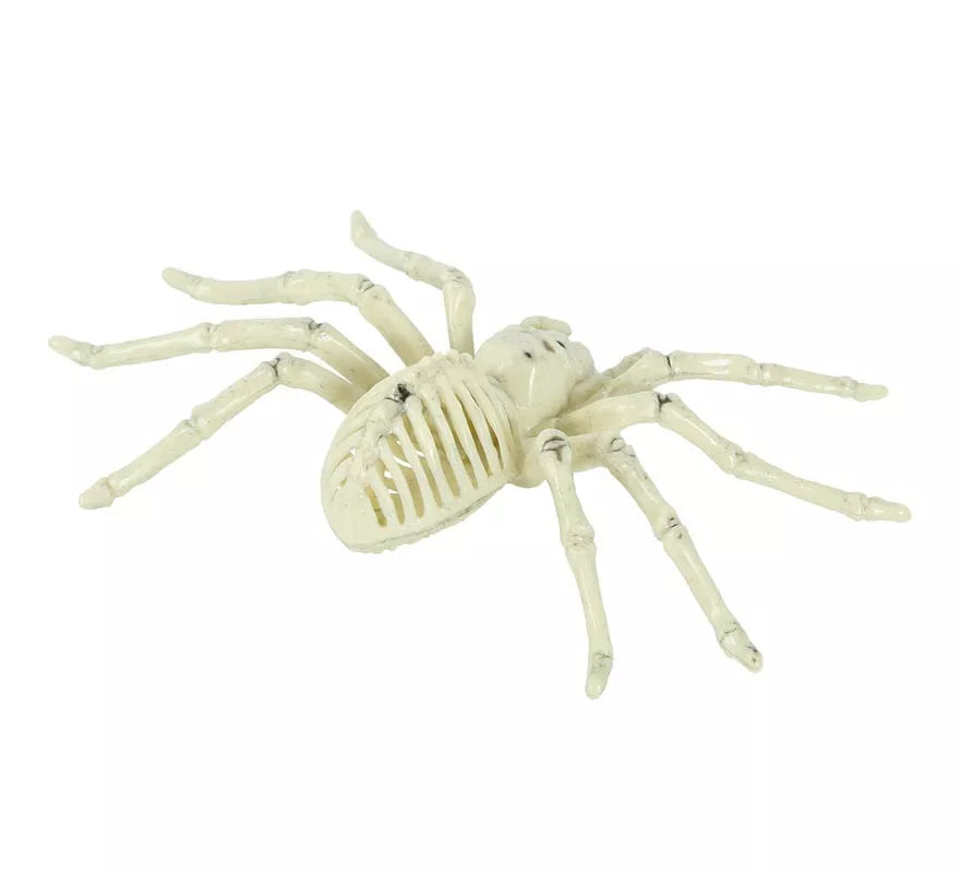 Translation missing: pt-PT.Esqueleto de Araña 24 Cm