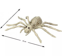 24x12 cm Tarantula Spider Skeleton