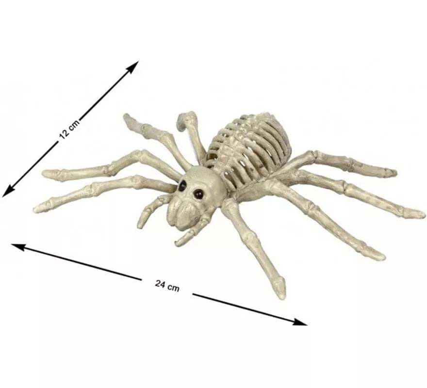 Translation missing: pt-PT.Esqueleto de Araña Tarántula de 24x12 cm