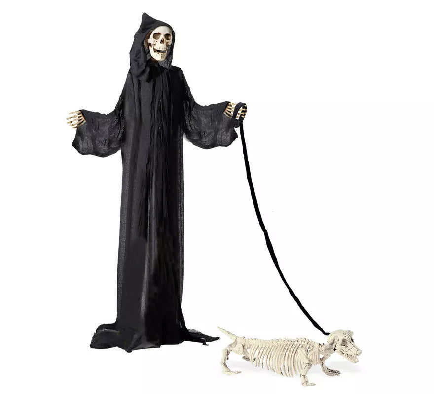 Translation missing: pt-PT.Esqueleto de Perro Salchicha con Correa de 55 cm