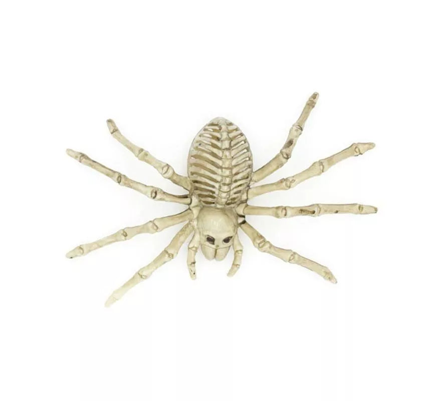 Translation missing: pt-PT.Esqueleto de Tarántula beige