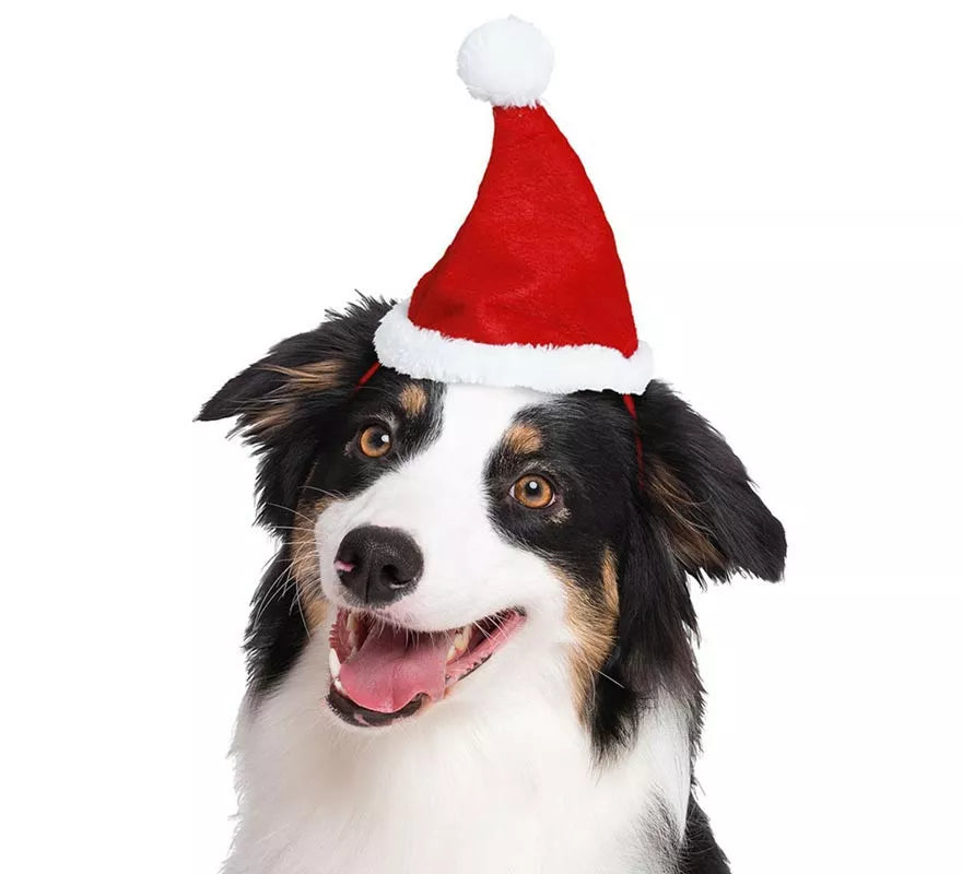 Translation missing: pt-PT.Gorro Navidad para perro