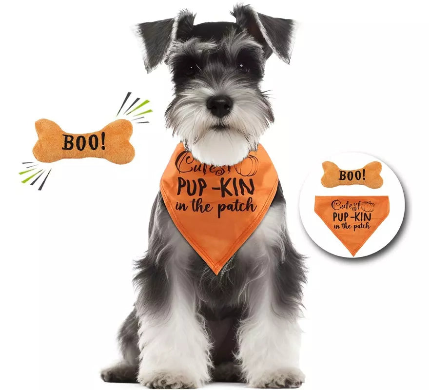 Translation missing: pt-PT.Kit de Calabaza para perro: Pañuelo y hueso