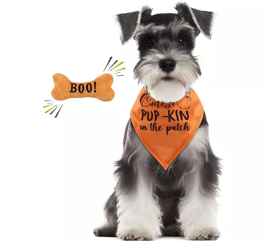 Translation missing: pt-PT.Kit de Calabaza para perro: Pañuelo y hueso