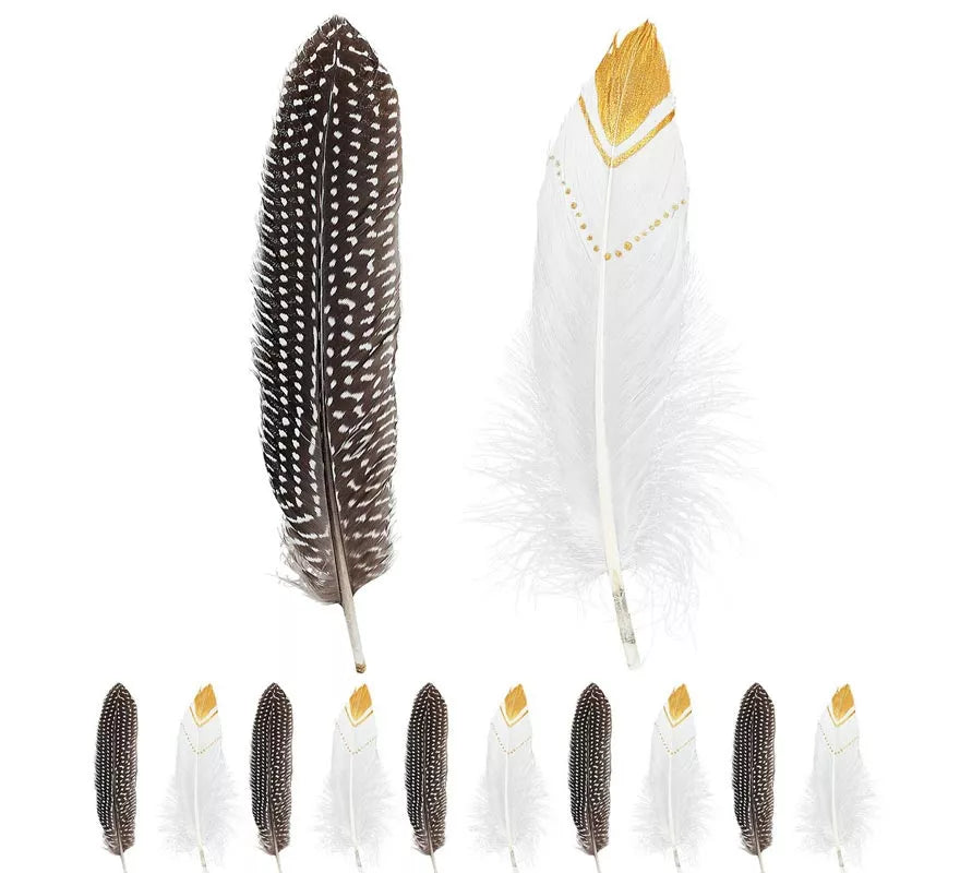 Translation missing: pt-PT.Pack de 12 Plumas de Indio en colores surtidos