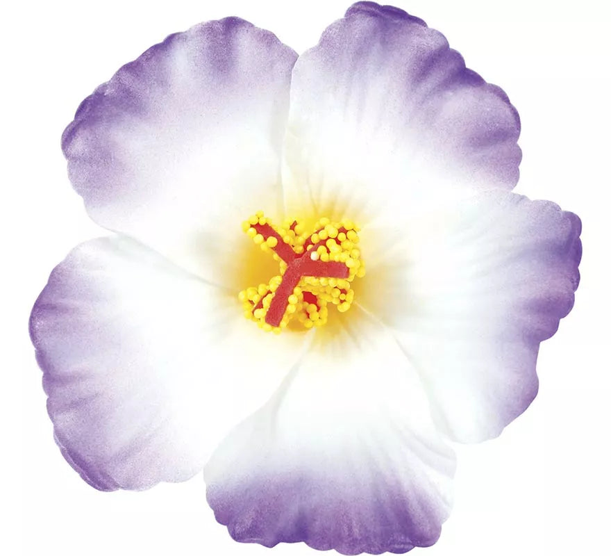 Translation missing: pt-PT.Pack de 3 Flores Hawaianas